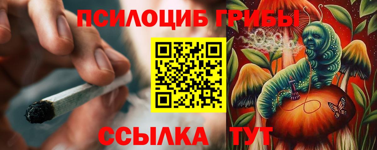Галлюциногенные грибы Psilocybine cubensis  Вход с VPN  Омск 