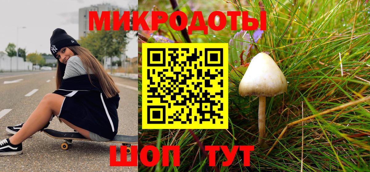 Псилоцибиновые грибы Cubensis Омск